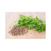 R-DRoz Coriander (Dhaniya) Quality Seeds - Pack of 100 Premium Seeds