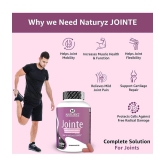 NATURYZ Jointe joint support supplement With Glucosamine, Chondroitin & MSM - 60 Tablets