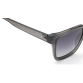 Grey Wayfarer Sunglasses for Unisex