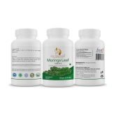 GOLDENACACIA HERRBALS Moring Leaf 500mg 240 Tablet Tablets 1 no.s