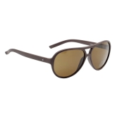 Brown Aviator Sunglasses for Men