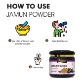 KAYABOOST Jamun Seed Powder for Diabetes (200 g)