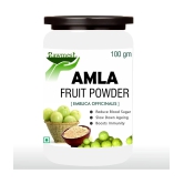 rawmest Amla Powder 100 gm Pack Of 1