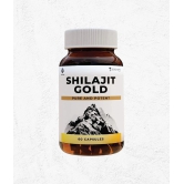 Zeroharm Shilajit Gold Capsules