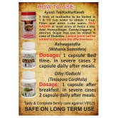 COVI CARE KIT AYUSH KADHA,ASHWAGANDHA & GILOY(Immunity Boosters) Each Capsule 500 mg Pack of 3