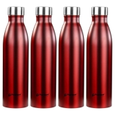 950ml S10 Stainless Steel Single wall water bottle (pack of 4)