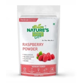 Natures Gift Raspberry Powder Smoothie 100 g