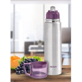 Milton Glassy 750 Thermosteel 24 Hours Hot and Cold Water Bottle with Drinking Cup Lid, 750 ml, Purple - Purple