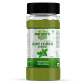 Nature''s Gift Mint Leaves Powder - 7 Oz Spice Jar Powder 200 gm