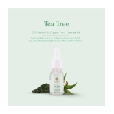 THE SKIN CO. - Tea Tree Essential Oil 10 mL ( Pack of 1 )