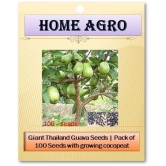 HN organic seed - Fruit Seeds ( 100 )