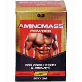 Rikhi GG Amino Mass Powder 300 gm Pack Of 1