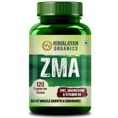 HimalayanOrganicsZMA Zinc Magnesium Aspartate Sports Recovery Supplement - 120 Veg Tablets-Himalayan Organics ZMA (Zinc, Magnesium Aspartate) Sports Recovery Supplement - 120 Veg Tablets