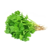 Coriander Seeds, Dhania Seeds, Organic Cilantro Seeds Pack Of 200 Seeds