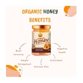 ANP BEE Honey Raw Organic Honey 250 g