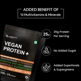 Carbamide Forte Vegan Protein Powder - Plant Based Pea Protein Powder with Multivitamin, Minerals, Superfoods, Digestive Enzymes - 500g-Mango