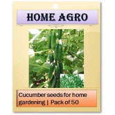 HN organic seed - Vegetable Seeds ( 50 )