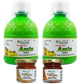 Farm Naturelle-Strongest n Concentrated Amla Juice for Improved Immunity, Hair and Skin Health-2x400ml+ 55gx2 Herbs Infused Forest Honeys