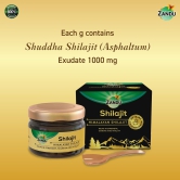 Shilajit Resin (20g)