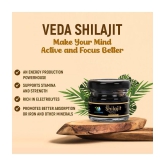 Vedapure Original Shilajit/Shilajeet Resin For Endurance, Bodybuilding and Power & Helps in Energy, Stamina -25 Gram (Pack of 2)