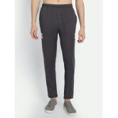 Zeffit - Grey Lycra Mens Trackpants ( Pack of 1 ) - None