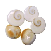 OMLITE - Stone Gomti Chakra (Pack of 1)