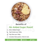 True Elements No Added Sugar Muesli 1000 gm