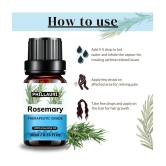 Phillauri Rosemary Others Essential Oil Floral With Dropper 90 mL ( Pack of 3 )