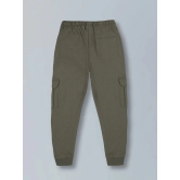 PLUM TREE Green Cotton Boys Trackpant ( Pack of 1 ) - None