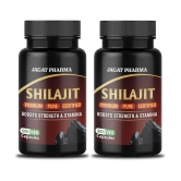 JAGAT PHARMA Shilajit Capsule 120 no.s