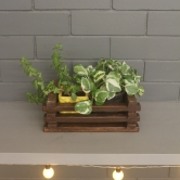 Planter Crate Type