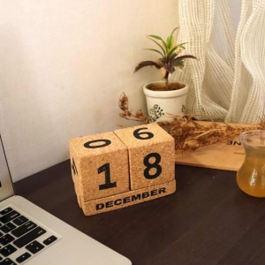 cute-cork-calendar