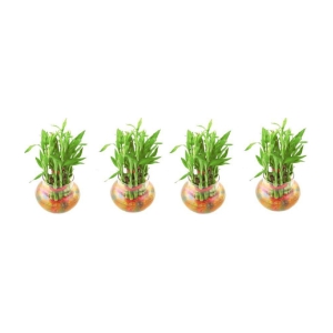 Green plant indoor - Green Wild Artificial Flowers With Pot ( Pack of 4 )