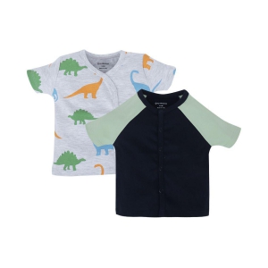 My Milestones T-shirt Half Sleeves Boys Grey Dino / Navy Blue Sage Green Raglan-2Pc Pack  - 3-6 M - None