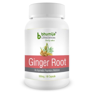 BHUMIJA LIFESCIENCES Ginger Root Capsules 60 no.s