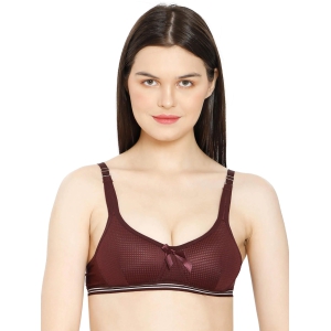 Jackie Checks Padded T-Shirt Bra-Maroon / 34 B