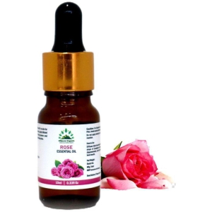 Hillpure Organic - Rose Essential Oil 10 mL ( Pack of 1 )