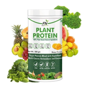 Floral Nutrition - 100% Plant Protein Powder Plant Protein Powder ( 500 gm Mango )