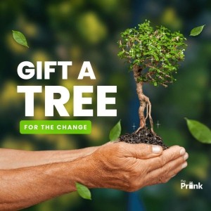 Gift a Tree on Birthday | Gift a Tree on Anniversay-Yes