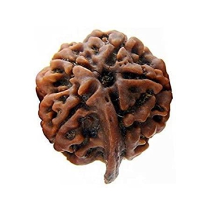 Divine Ganesh Rudraksha Java - Lord Ganesha's Auspicious Blessings | Brahmatells-16 mm