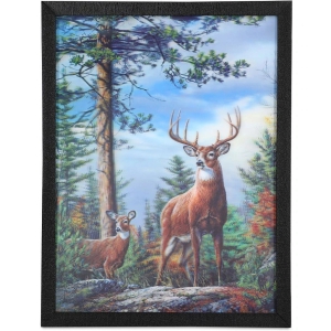 Saf 5D Animal Painting With Frame