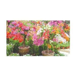 AZALEA GARDENS Bougainvillea Spectabilis Willd Bonsai Plant Seeds 20 PCS Bougainvillea seeds