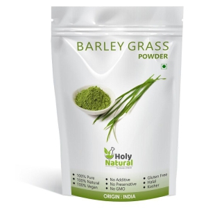 Holy Natural Barley Grass Powder 500 gm