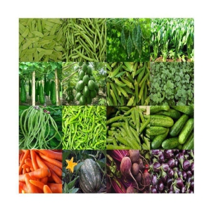 ORGANIC  pal 16 DIFFERENT TYPE VEGETABLE SEEDS COMBO PACK  MORE THAN  300 SEEDS PACK  WITH USER MANAUAL FOR HOME GARDENING