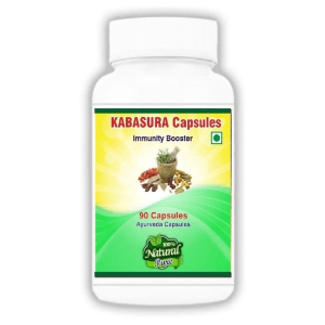 BioMed Kabasura Capsules Capsule 90 no.s