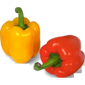 Capsicum - Red/Yellow 250 gms