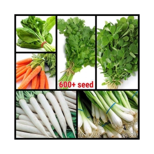 6 Variety of Vegetable Seeds combo - 600+ seed with Instruction Manual