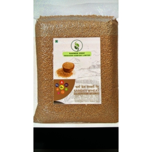 Sarbati Wheat 10kg