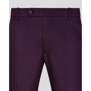 Wine Normal Fit Trousers-32