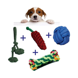 Two Bro, Small Ball, Carrot, Bone Ropes Toys for Dogs, Puppy chew Teething Set of 4